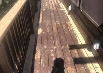 Skilled House Painter