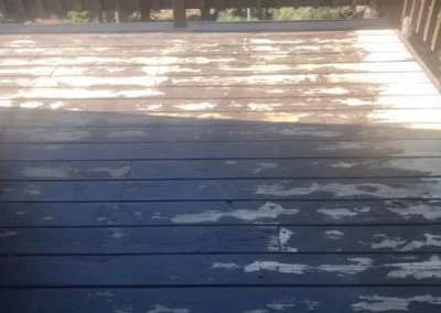 Skilled House Painter